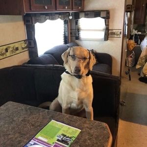 Meet your Posher, Stacey